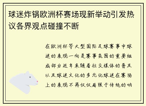 球迷炸锅欧洲杯赛场现新举动引发热议各界观点碰撞不断