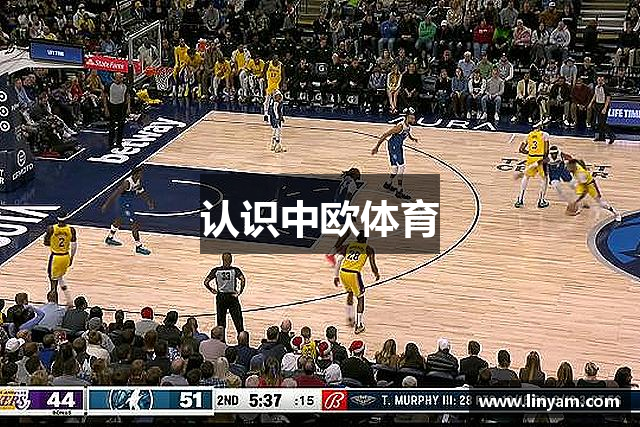 认识中欧体育